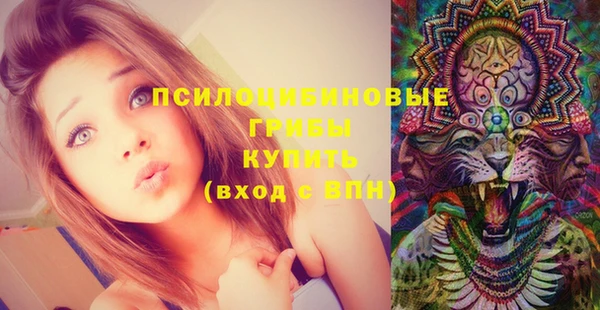 прущий лед Армянск